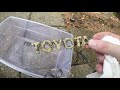 Removing Chrome From Emblems- Painting Them Gold