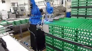 Egg Depalletizer
