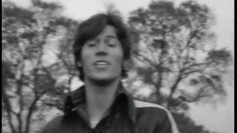 BEE GEES - World