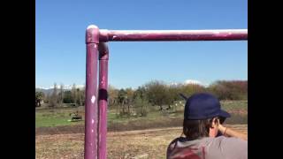 IMG 7664