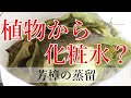 【鍋蒸留】植物を蒸留して化粧水を作ってみた｜芳樟(ホウショウ)