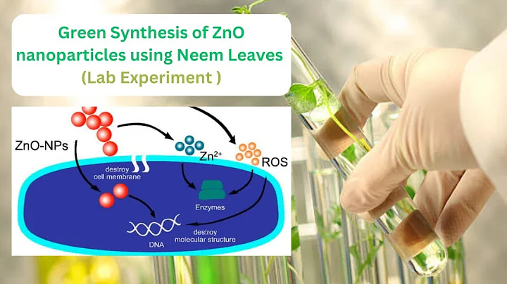 "Green Synthesis of ZnO Nanoparticles Using Neem Leaves | Easy Lab Method & Results"