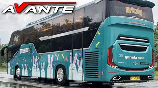 LIVERY $ ( FREE ). Garuda Mas Grizzly. Mod New Avante Parwis ASXFM. Bussid screenshot 2