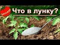 ЧТО КИНУТЬ В ЛУНКИ ПРИ ПОСАДКЕ 2020