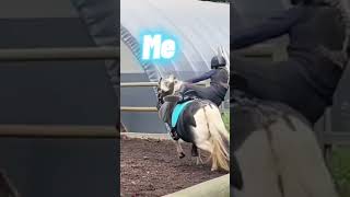 Crazy Shetland ponies | Harlow vs Me