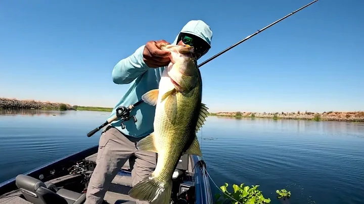 Part 1 Fishing with a local Hammer Mr. Alec Woods
