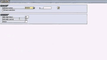 SAP SD - Master Data Reports