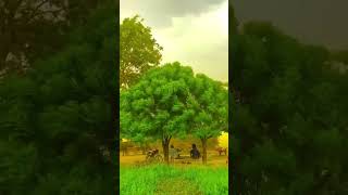 Download Lagu Sanam Soni Jatt | Raatan Aa Gayan Chananian #love #meri #jaan #beautiful#shorts#viral #song #like MP3