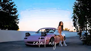 Celal Ay - PAIN (Remix) ft.Night Lovell
