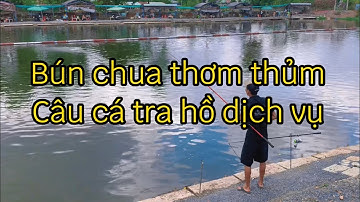 Cách trộn mồi bún câu tra hồ dịch vụ ( chua thơm thủm nhẹ )