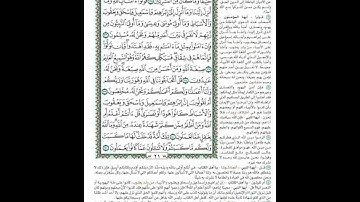 الصفحة٢١من المصحف الشريف برواية حفص عن عاصم القارئ د.بريك سعد بريك-إجازة التجويد من الأزهر الشريف