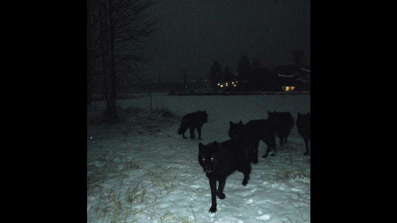 Ethereal Guitar Type Beat ~ Wolf Pack