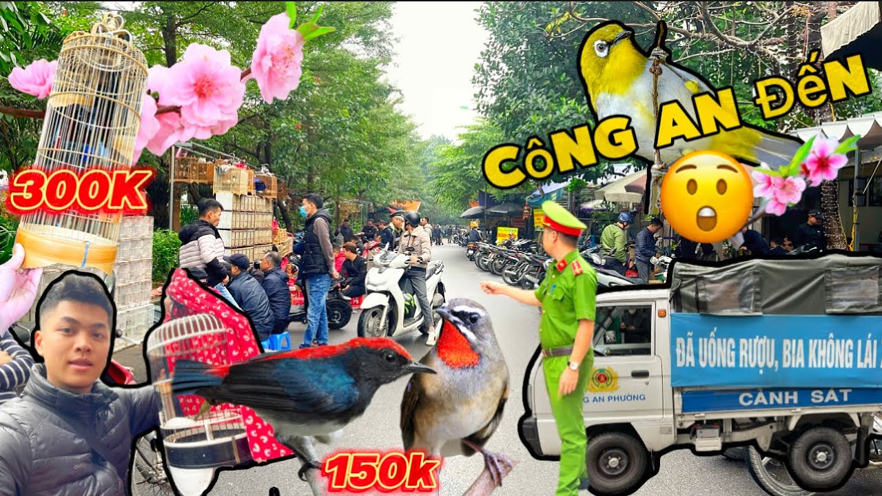 Khung Cảnh Phiên Chợ chim Hoàng Hoa Thám dịp gần Tết Âm Lịch nhiều điều thú vị || Đạt Bird TV