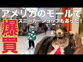 ３００店舗入ってるモールで春のお買い物＆購入品レビュー！アメリカ｜爆買い