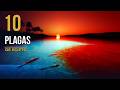 Las 10 Plagas de Egipto: La Verdad CIENTÍFICA Que Ocultaron