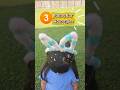 ✨️3 Ideas usando orejitas de conejo 🐰🧡
