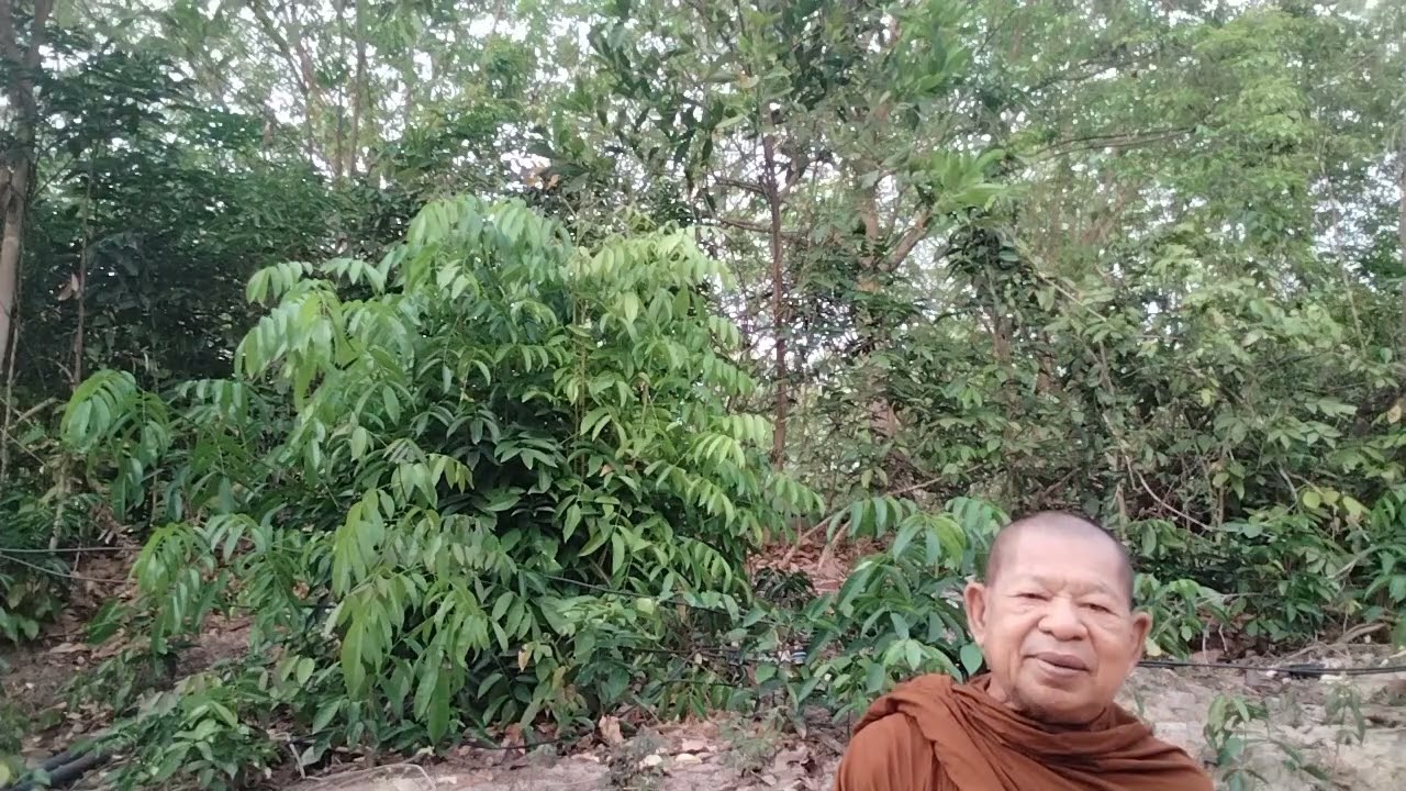 ธรรมะยามเช้าที่ศูนย์ศึกษาธรรมวินัยอำเภอบ้านดุงวันที่ 28 ก.พ.69 ให้ข้อทำโดยภิกษุสไบสิริจันโท