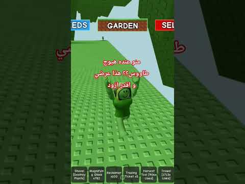 منو عنده هيوج طاووس 