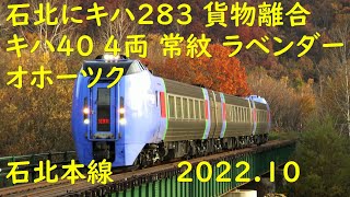 キハ283も登場 キハ40 4両編成常紋登る 紅葉 石北本線 2022.10