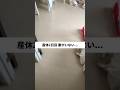 #妊娠 #子育て #育児 #夫婦