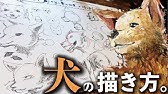 鉛筆画 動物 デッサン序盤の描き方を初心者向けに徹底解説 Youtube