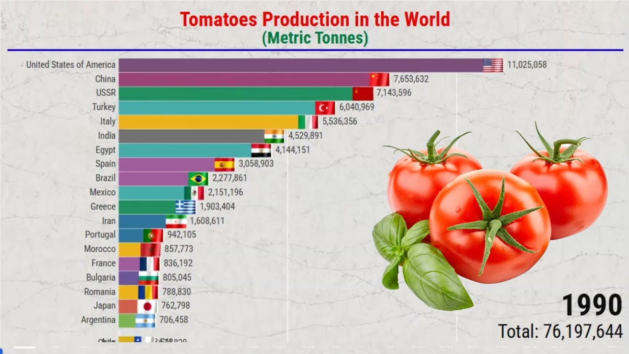 Tomatoes Production in the World | Tomatoes Producing Countries