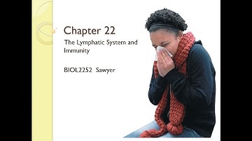 Chapter 22 Lecture Video