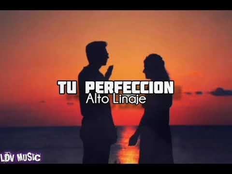 TU PERFECCIÓN🔥❌ / Alto Linaje❌🔥 LETRA