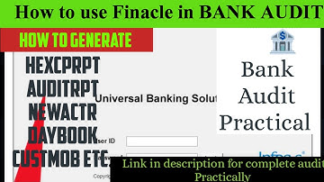 How to generate reports in FINACLE | Finacle कैसे use करें| #bankaudit #audit #Practical_audit
