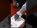 ШЇШ Щ Щ Ш Ш Щ Щ Ш ЩѓЩ Ш Щ Ш Щ Щ Ш Ш Ш ЩЉШЇ ШЁЩЉШЇ рџ Њвќ пёЏ ШЇШ Щ Щ Ш Ш Щ Щ Ш ЩѓЩ Ш Щ Ш Щ Щ Ш Ш Ш ЩЉШЇ ШЁЩЉШЇ рџ Њвќ пёЏ