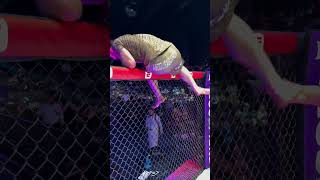 LAZY KING DOING LAZY KING THINGS AFTER THE W🫡 #PFL #MMA #Shorts