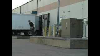 dan molnar(-)more trash