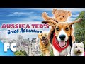 Aussie &amp; Ted&#39;s Great Adventure | Full Comedy Dog Movie | Dean Cain, Beverly D&#39;Angelo | FC