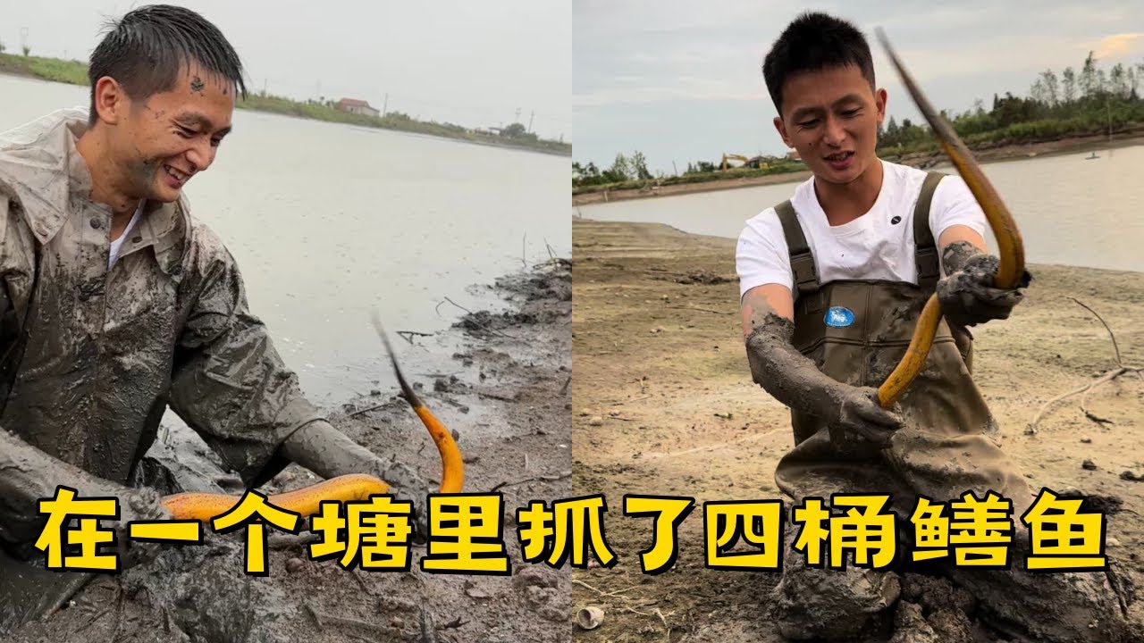 水猴子在一个塘里抓了四桶鳝鱼，老板脸都笑开花了！