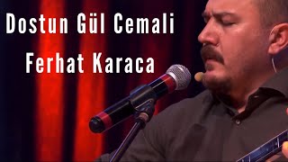 Dostun Gül Cemali - Ferhat Karaca Resimi