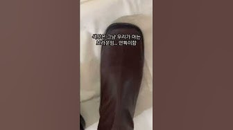 라룸 - Youtube