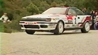 Tour de Corse 1991