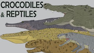 CROCODILES AND OTHER REPTILES Size Comparison | Prehistoric Extinct Animals