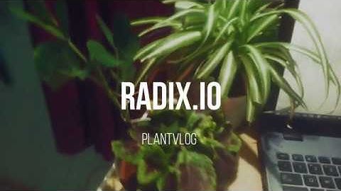 Radix.io [Ver.2.0] - plantVlogs