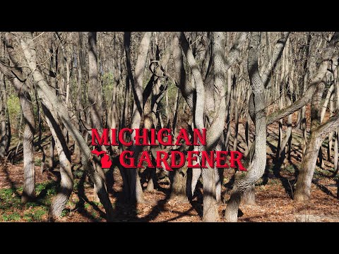 Michigan Gardener - November 2022