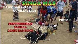 KERASUKAN DEMIT BANTENG SAKRAL!!!