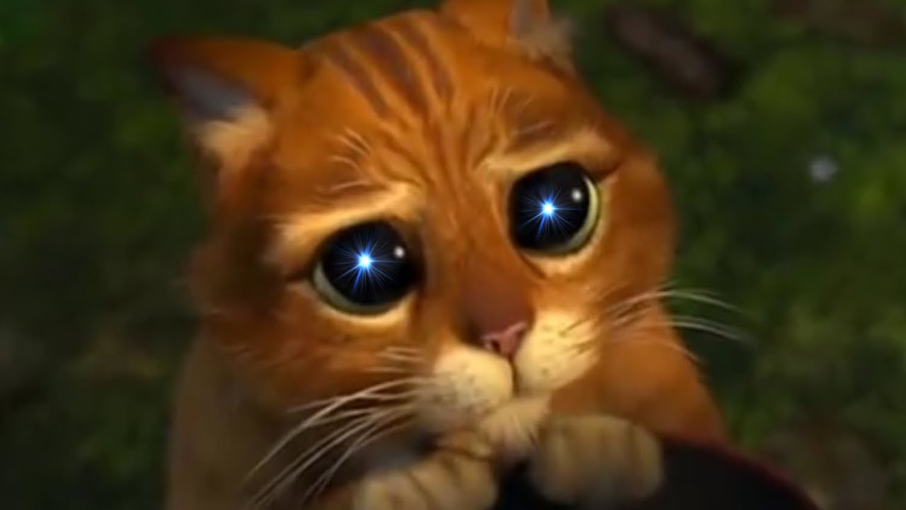 Shrek 2 Without Context