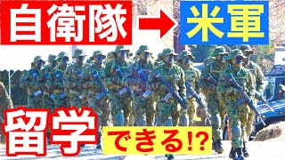 【質問コーナー】その82たくさんの質問に答えてみた！【トーク】