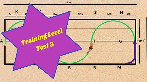2019 USEF Training Level Test 3