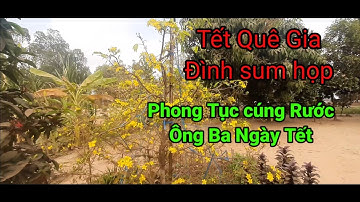 Tết Quê Hương Miền Tây Gia Đình Sum họp, Phong Tục Rúng Rước ông Bà Ngày Tết Nguyên Đán Việt Nam