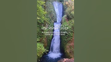 تلاوة رائعة وجميلة للقارئ احمد حمادي 🌿 #تلاوة_خاشعة #قرآن #اكسبلور #راحة_نفسية #لايك #تابعوني