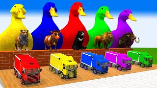 5 Giant Duck, Monkey, Piglet, chicken, dog, cat, lion, cow, Sheep, Transfiguration funny animal 2023