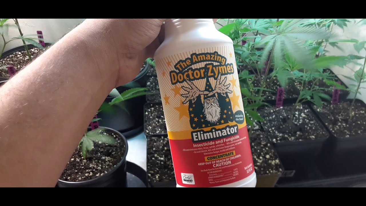 Veg Room Update + "The Amazing Doctor Zymes" Review