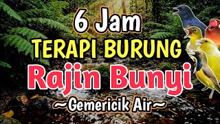 Mantap 6 Jam Terapi Air Bikin Semua Burung Rajin Bunyi 