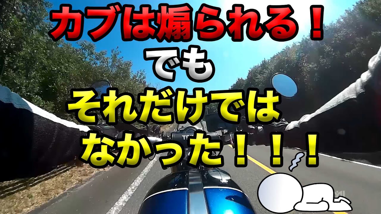 【カブは煽られる!でもそれだけじゃなかった!】グダ波鳥の言いたい放題